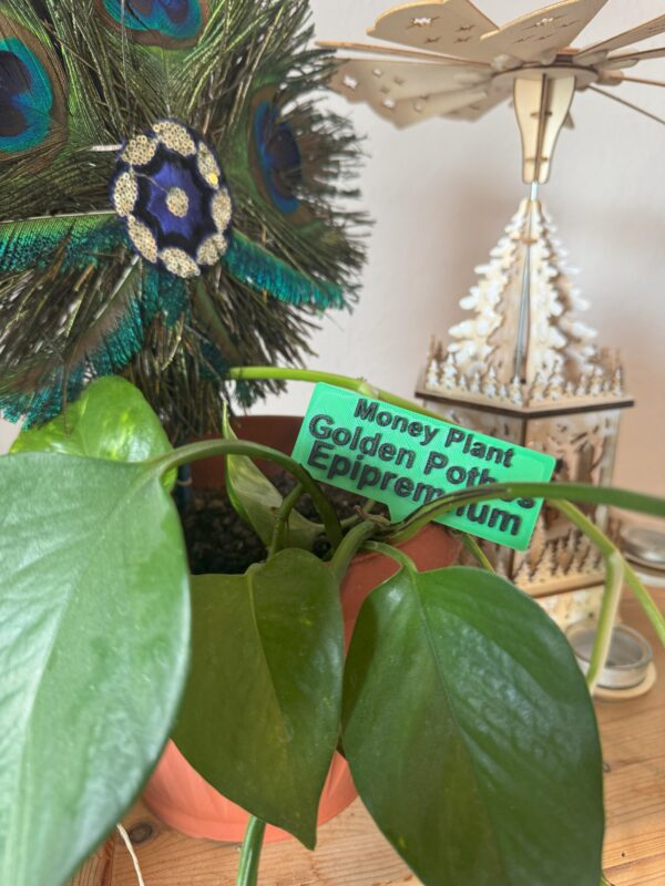 Plant Name Tag Indoor –  Forest Green & Gold - Image 3