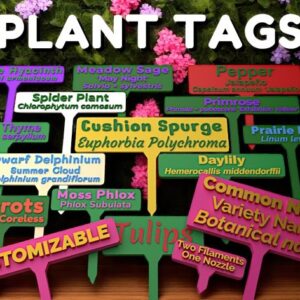 Plant Name Tag Indoor –  Forest Green & Gold