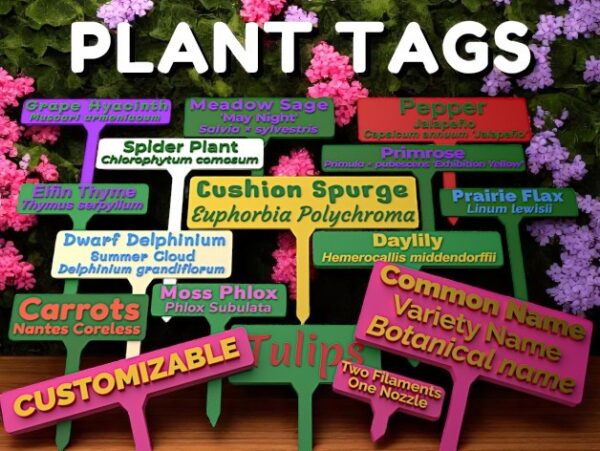 Plant Name Tag Indoor –  Forest Green & Gold